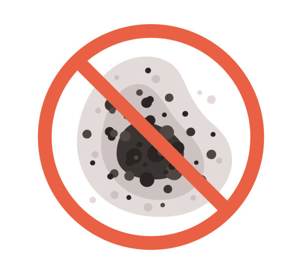 Best Air Quality Testing for Mold Spores  in Scottsbluff, NE